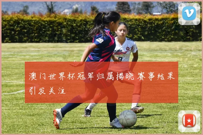 澳门世界杯冠军归属揭晓 赛事结果引发关注