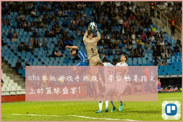 nba单机游戏手机版，带你畅享指尖上的篮球盛宴！